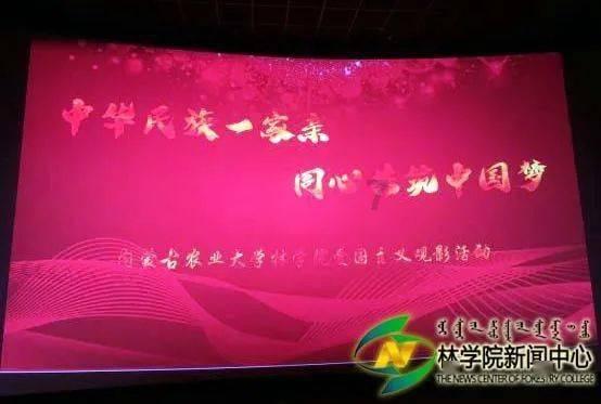 小仓鼠吃瓜子